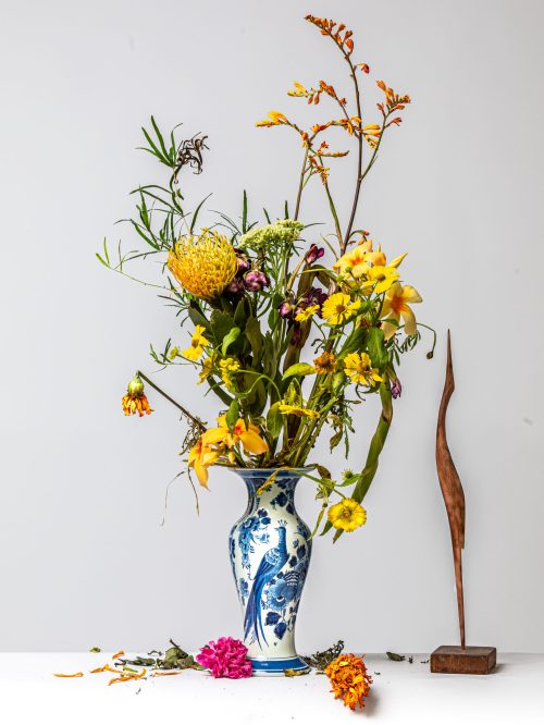 Heron meets Peacock in Delft Blue