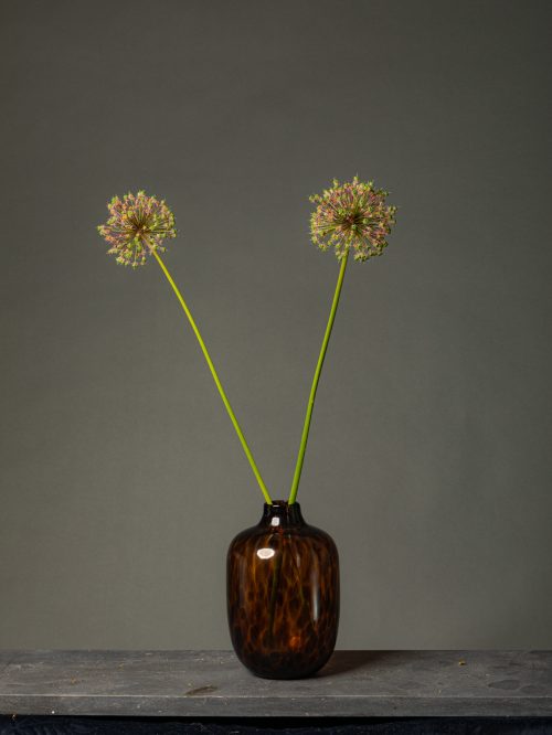 Tweeling in Bruine Vaas